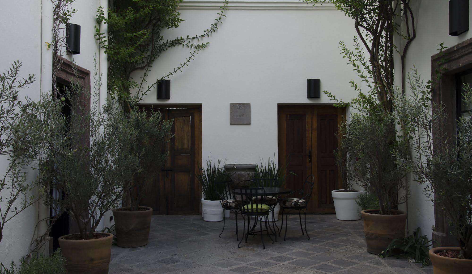 Casa De Los Olivos San Miguel de Allende Eksteriør billede