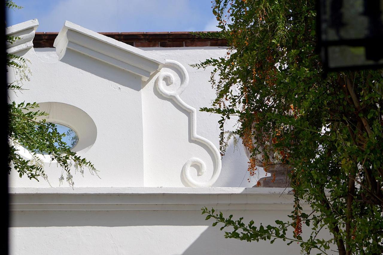 Casa De Los Olivos San Miguel de Allende Eksteriør billede